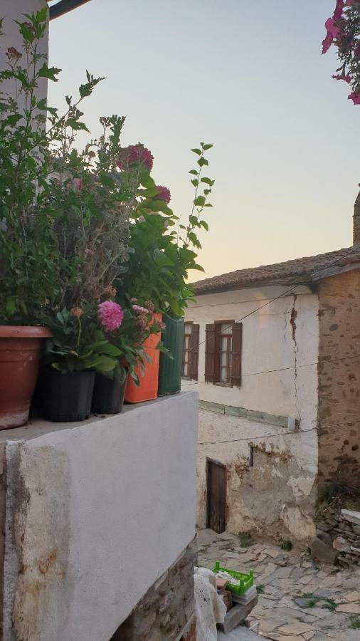 Sirin Ev Pansiyon Selçuk Bagian luar foto